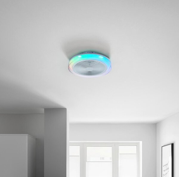 Modern Living Stropna Led-svetilka Abelina, Ø Ca. 45 Cm, 25 W