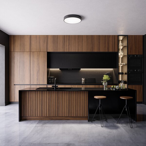 TEMAR LIGHTING Stropna svetilka Cleo, Ø 50 cm, IP54, črna, kovina, E27, zatemnjen, Črna, Kopalnica, Kovina