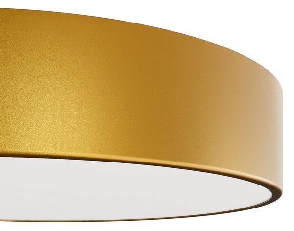 TEMAR LIGHTING Stropna svetilka Cleo 300, zlata, senzor, IP20, Ø 30 cm, kovina, Zlata / medeninasta, Dnevna soba / jedilnica, Kovina