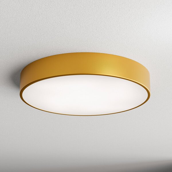 TEMAR LIGHTING Stropna svetilka Cleo 500, zlata, senzor, IP54, Ø 50 cm, kovina, Zlata / medeninasta, Hodnik, Kovina, Sodobni
