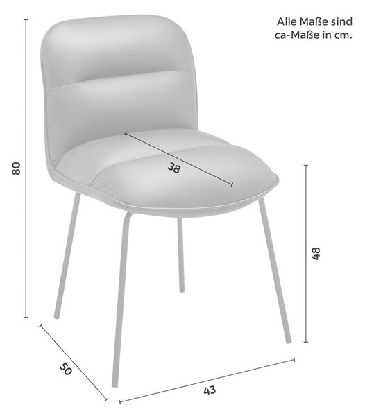 Bessagi Home Stol Ellis, Črna, Videz Usnja