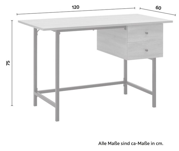 Bessagi Home Pisalna Miza Donetta, Barva Oreha, 120x60