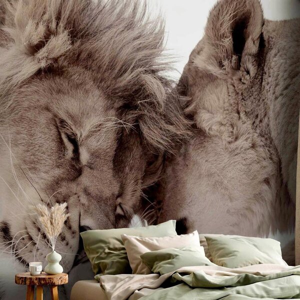 Artgeist Fototapeta Lion Tenderness, 150x105cm