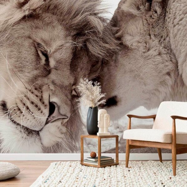 Artgeist Fototapeta Lion Tenderness, 150x105cm