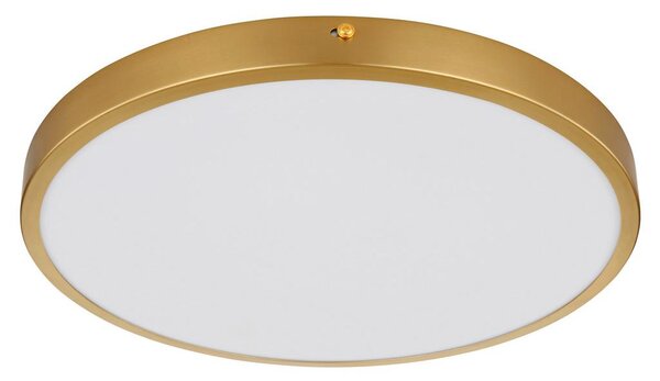 Globo Stropna Led-svetilka 12381-22