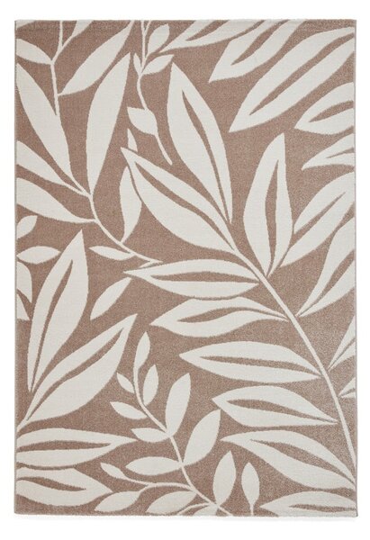 Svetlo rjava preproga 80x150 cm Sorral Leaves – Catherine Lansfield