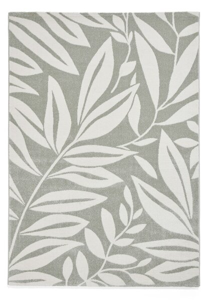 Svetlo zelena preproga 80x150 cm Sorral Leaves – Catherine Lansfield