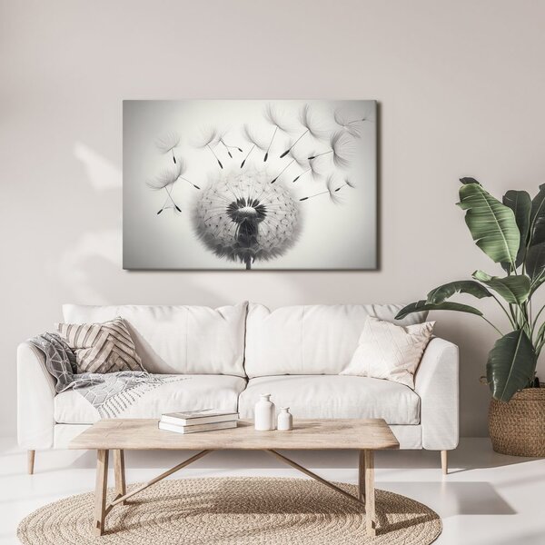Slika črno-bela regratova lučka