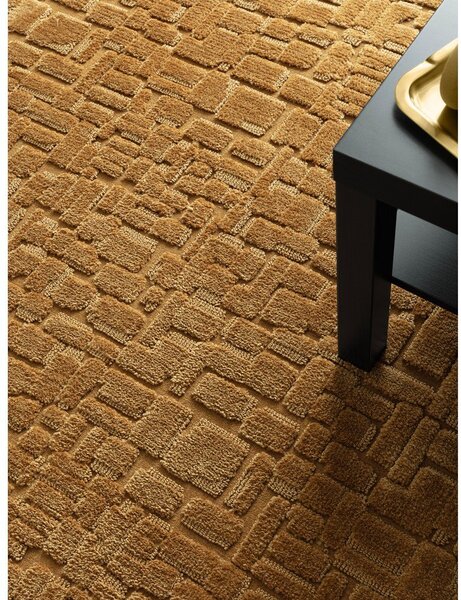 Gorčično rumena preproga 160x230 cm – Asiatic Carpets