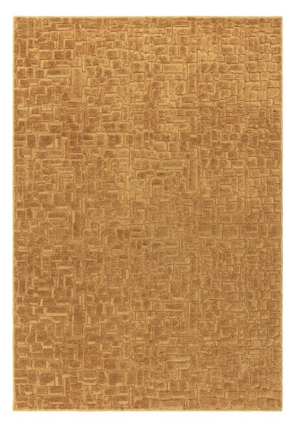 Gorčično rumena preproga 160x230 cm – Asiatic Carpets