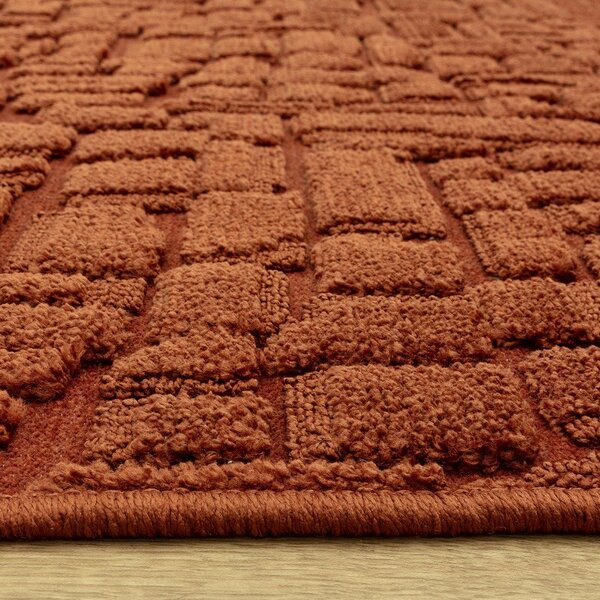 Preproga v barvi terakote 200x290 cm – Asiatic Carpets