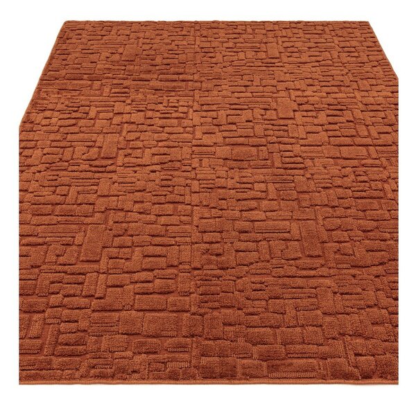 Preproga v barvi terakote 200x290 cm – Asiatic Carpets