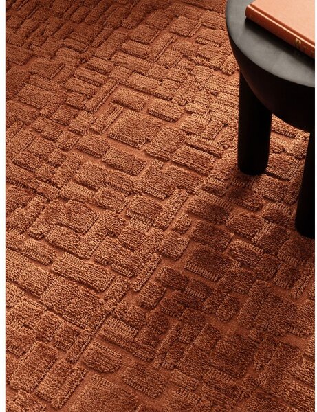 Preproga v barvi terakote 200x290 cm – Asiatic Carpets