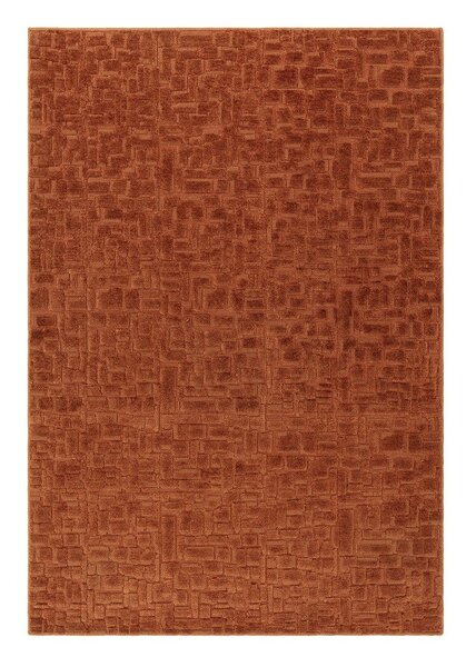 Preproga v barvi terakote 200x290 cm – Asiatic Carpets