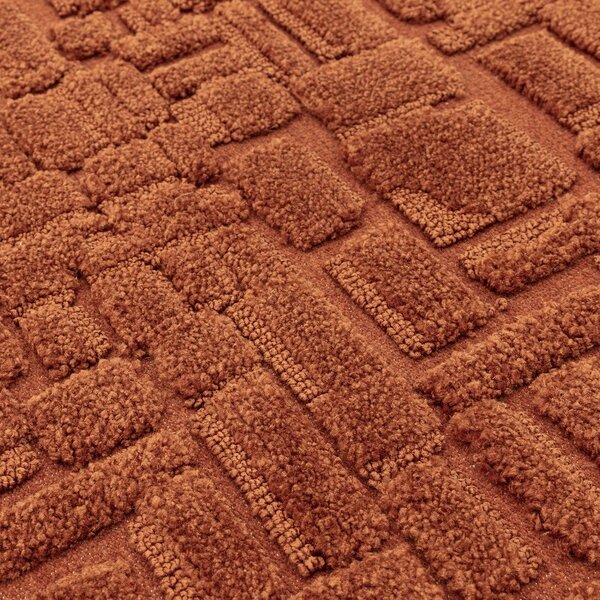 Preproga v barvi terakote 200x290 cm – Asiatic Carpets
