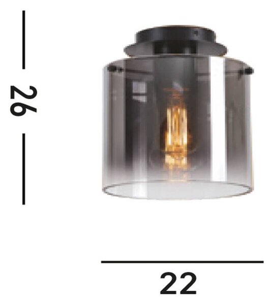 Švedska stropna svetilka, črna/dimno siva, 1-svetlobna, jeklo, steklo