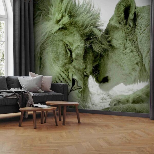 Artgeist Fototapeta Lion Tenderness, 150x105cm