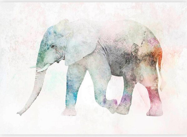 Artgeist Fototapeta Painted Elephant, 100x70cm