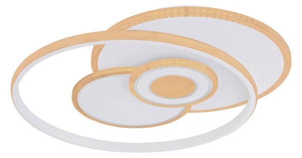 STROPNA LED-SVETILKA RODERICK 350-3600 lm 3000-6000 K 230 V