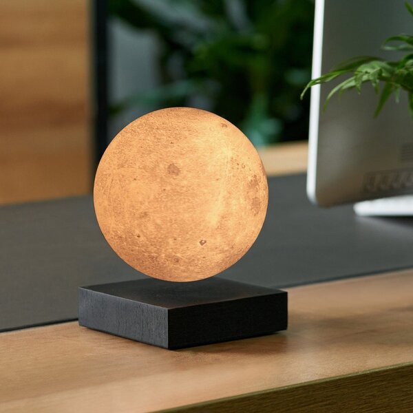 Črna svetlobna dekoracija z vtikačem ø 12 cm Moon – Gingko