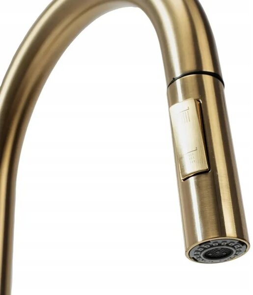 Kuhinjski mešalnik Rea Fresh Touch Brush Gold