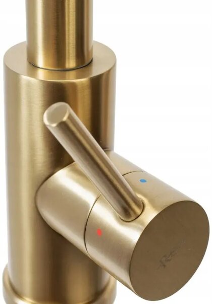 Kuhinjski mešalnik Rea Fresh Touch Brush Gold