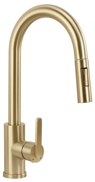 Kuhinjski mešalnik REA Ontario Brush Gold