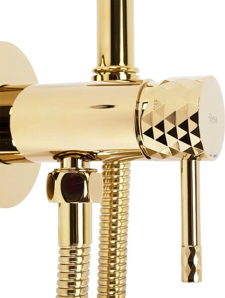 REA Lungo Loop Bidet baterija Diamond Gold