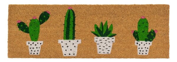 Predpražnik iz kokosovih vlaken 25x75 cm Cactus – Casa Selección