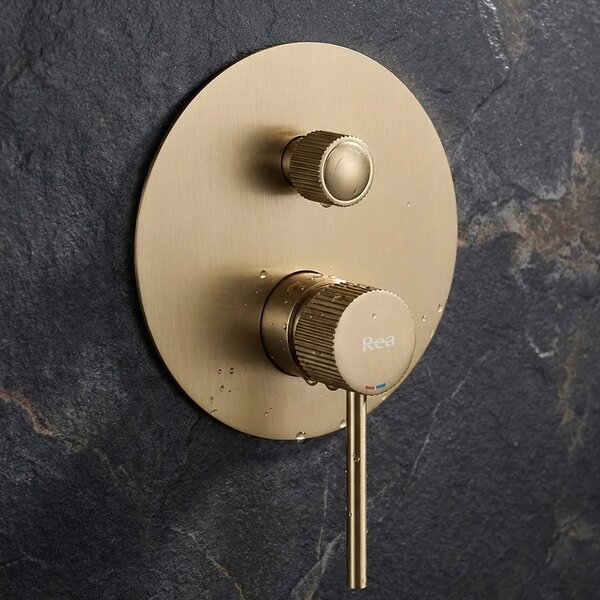 Komplet za tuširanje za vgradnjo Rea Lungo Stripe Gold Brush + BOX