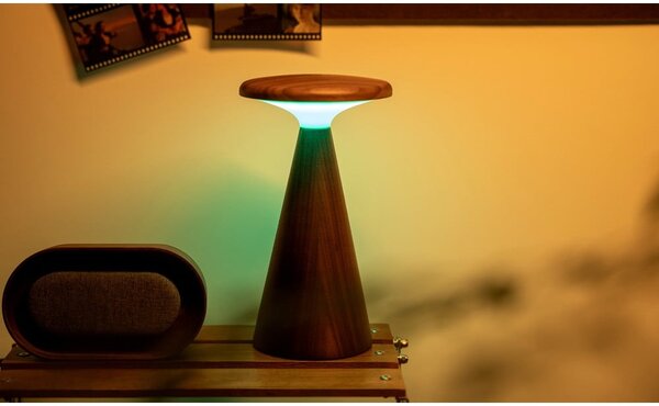 LED namizna svetilka v temni naravni barvi z lesenim senčilom (višina 21 cm) Sylva – Gingko