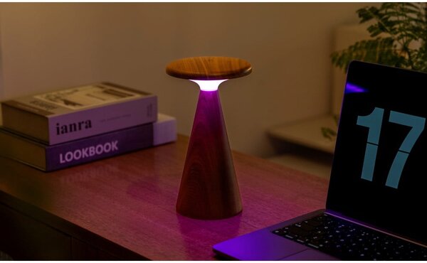 LED namizna svetilka v temni naravni barvi z lesenim senčilom (višina 21 cm) Sylva – Gingko