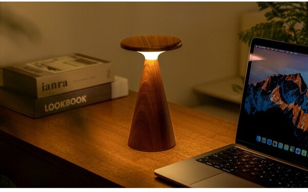 LED namizna svetilka v temni naravni barvi z lesenim senčilom (višina 21 cm) Sylva – Gingko