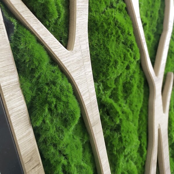 Stenska dekoracija 50x100 cm Tree – Styler