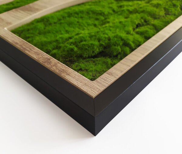 Stenska dekoracija 50x100 cm Tree – Styler