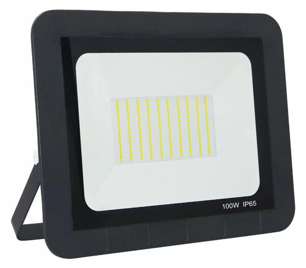 LED Zunanji reflektor LED/100W/230V IP65