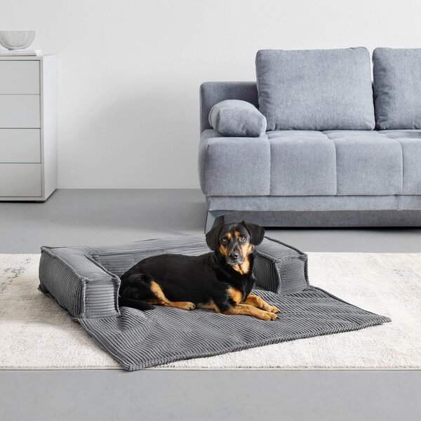 Mömax Zofa Za Psa Pet Flat