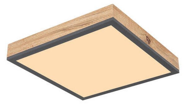 STROPNA LED-SVETILKA Doro 3000 K 230 V