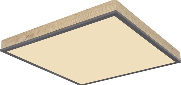 STROPNA LED-SVETILKA Ludwig 2550 lm 2700-4000-6500 K 220-240 V