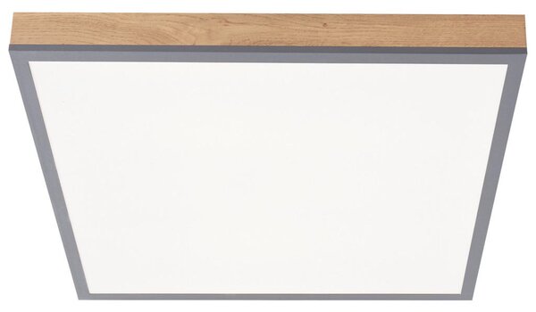STROPNA LED-SVETILKA Ludwig 23,93 W 2549,40 lm 2700-4000-6500 K 220-240 V