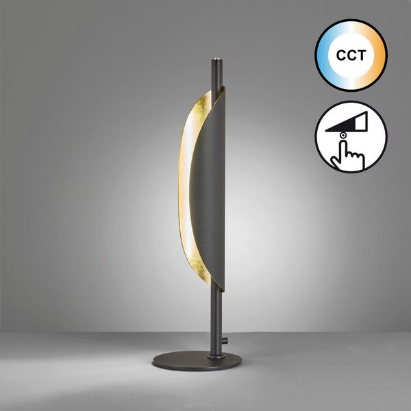 NAMIZNA LED-SVETILKA 15/51 cm