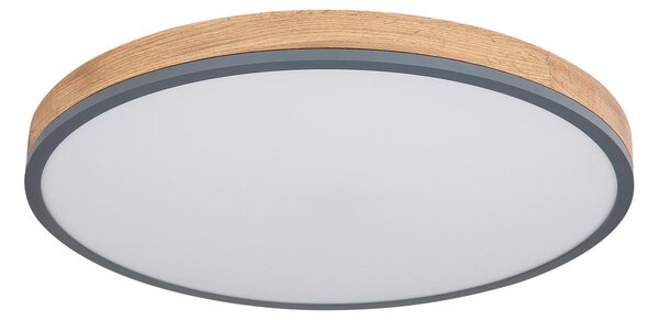 STROPNA LED-SVETILKA Doro 2700-6500 K 230 V