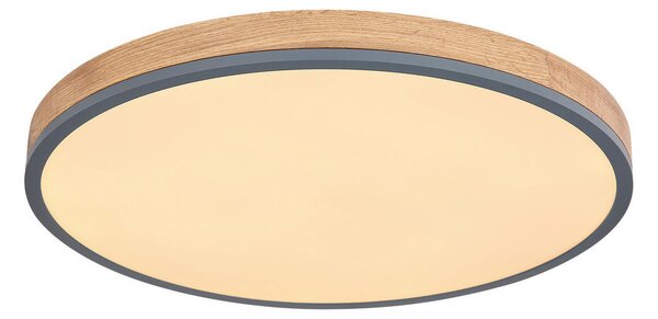 STROPNA LED-SVETILKA Doro 2700-6500 K 230 V