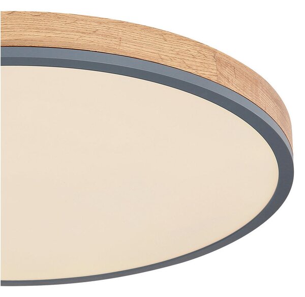 STROPNA LED-SVETILKA Doro 2700-6500 K 230 V