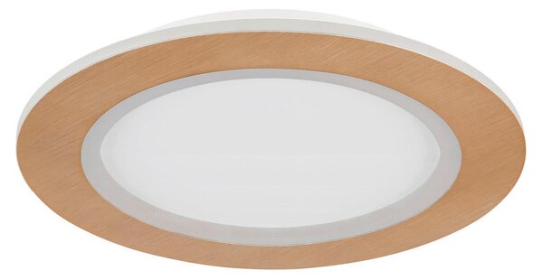 STROPNA LED-SVETILKA CLAY 2700+6500 K 230 V