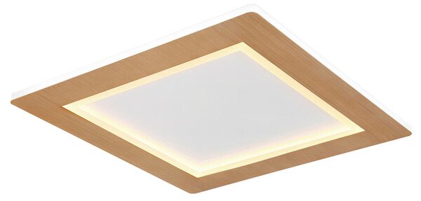 STROPNA LED-SVETILKA Clay 2700+6500 K 230 V