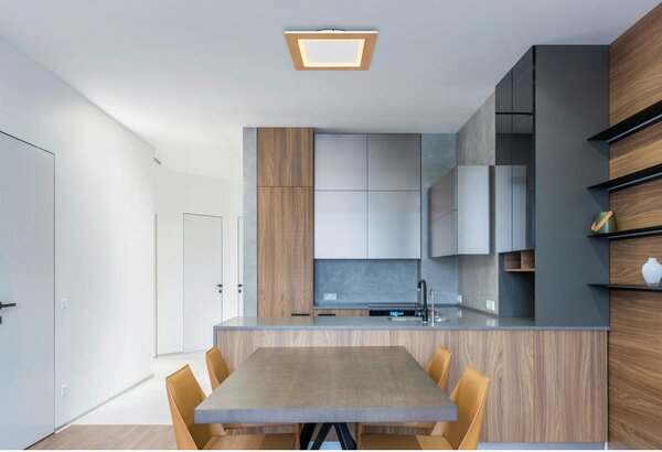 STROPNA LED-SVETILKA Clay 2700+6500 K 230 V