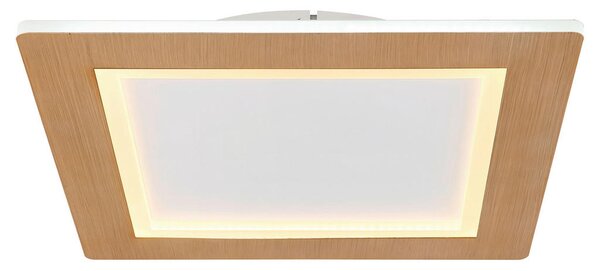 STROPNA LED-SVETILKA Clay 2700+6500 K 230 V