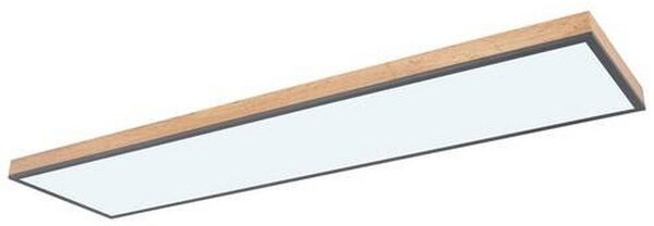 STROPNA LED-SVETILKA DORO 2700-6000 K 230 V