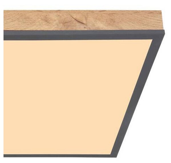 STROPNA LED-SVETILKA 24 W 3000 K 203 V